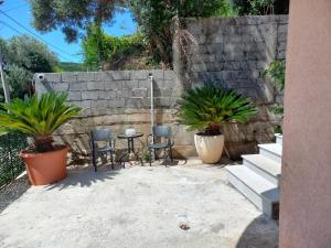Apartmani Vujovic Markovici 2