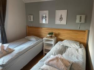 Economy Twin Room with Shared Bathroom room in Tärnaby Rooms & Apartments