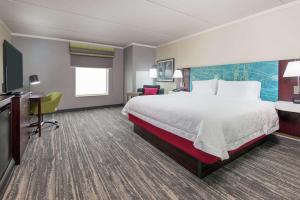 Deluxe King Room - Non-Smoking room in Hampton Inn South Plainfield-Piscataway