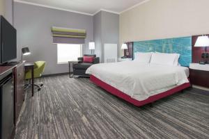 King Room - Mobility Access/Non-Smoking room in Hampton Inn South Plainfield-Piscataway
