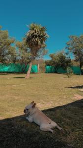 Cabañas la soñada de T