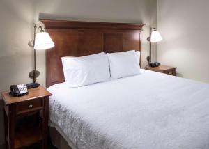 King Studio room in Hampton Inn & Suites Colorado Springs/I-25 South