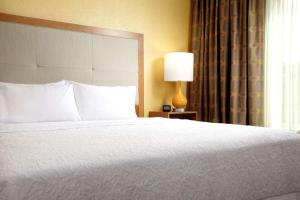 King Room with Roll-In Shower - Mobility and Hearing Access/Non-Smoking room in Hampton Inn & Suites Pittsburgh Airport South/Settlers Ridge