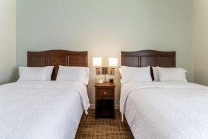 Queen Room with Two Queen Beds - Non-Smoking room in Hampton Inn Boston/Peabody