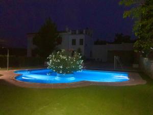 La Almedina casa Bellavista