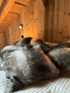 Maisons de vacances Stone Lake Luxury Lodge : photos des chambres