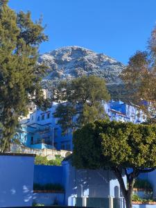 Joli studio de charme à chaouen