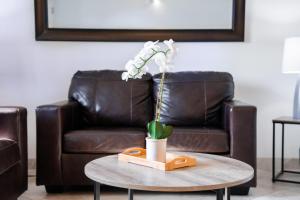 213 Fully Furnished 1BR Suite-Outdoor Pool