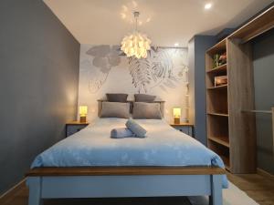 Appartements Superbe cosy T1 Bis Studio 40m2 independant en maison avec parking gratuit : photos des chambres