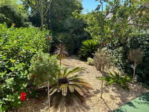 Cala Esmeralda Apartament