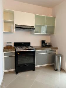 Departamento colonia Carrizal