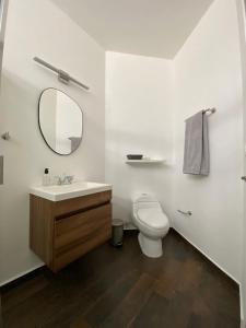 Departamento colonia Carrizal