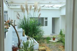 Casa Caliza Bienestar & Descanso