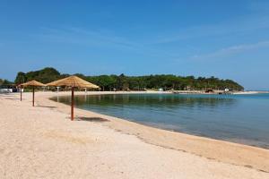 Apartments by the sea Novalja, Pag - 17973