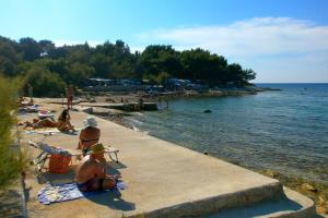 Apartments by the sea Susica, Ugljan - 20758