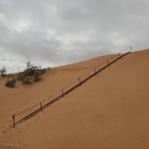 Bidiyah Domes