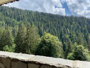 Appartement 6 pers. avec piscine chauffée, grande terrasse, parking, Crest-Voland - FR-1-733-139