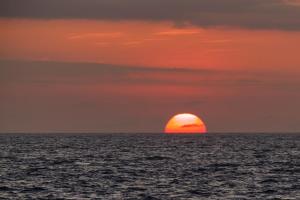 Suite Cielo, Discover the magic of Galapagos