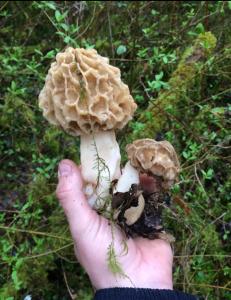 Sejours chez l'habitant Au repere de la Truffe : photos des chambres