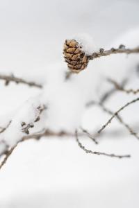 MANGGEI-BAU Appartements und Studios