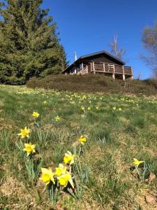 Chalets Le chalet des coeurs : photos des chambres