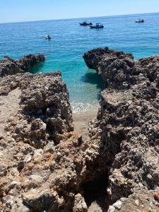 The Sea Turtle Camp
