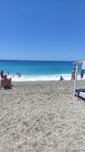 The Sea Turtle Camp