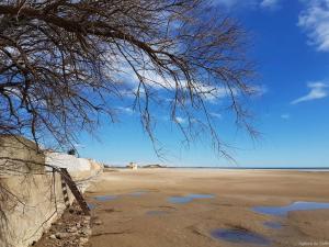 Appt T3 magnifique vue mer