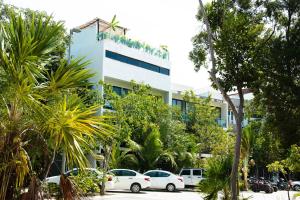 Cave Apartments Mexico 5