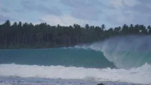 Lilys Nias Surf Camp - Telukdalam
