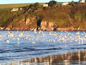 River View at White Horses, Bantham, South Devon with glorious estuary views
