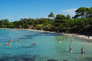 Appartements Studio ZEN SUD Plage a pied Pin Rolland Sablettes : photos des chambres