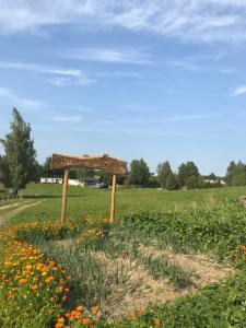 Agroturystyka nad stawami