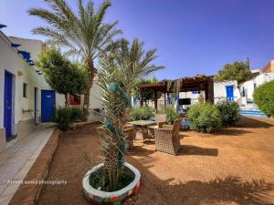 Auski Hostel Dahab