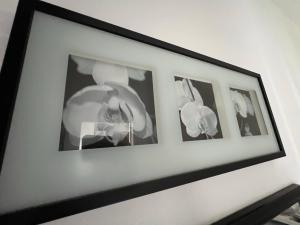 Celias Home - Expo Fiera Milano