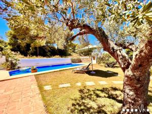 VH CostaBlanca - MARIPOSA