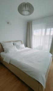 Oak Apartments Columna Cluj