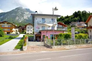 Ciclamino Standard Vittoria - Glato