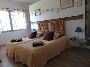 B&B / Chambres d'hotes Le Chateau de Roquebere : photos des chambres