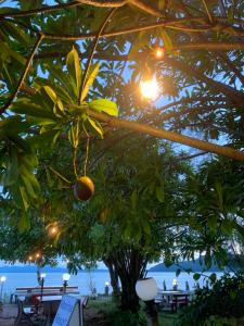 Marina Resort at Pakbara Satun
