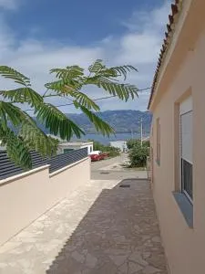 Bona Vera - 拉扎纳茨