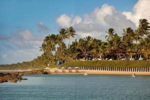 Flat Muro Alto - Nannai