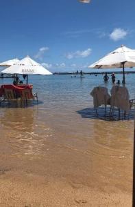 Flat Muro Alto - Nannai