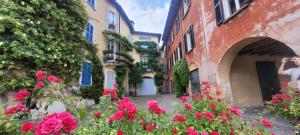 Mandello Riva Granda