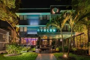 Avalon Hotel Downtown St. Petersburg - Sankt Petersborg