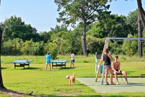 Villages vacances Pinea Mare : photos des chambres