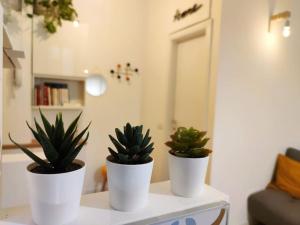 Da Rosa e Pier - Charming central apartment