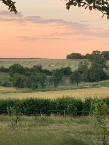 B&B / Chambres d'hotes Chateau de Bellefontaine : photos des chambres