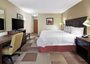 King Room with King Bed - Non-Smoking room in Hampton Inn Dallas-Irving-Las Colinas