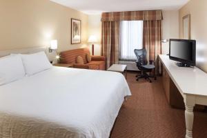 King Room room in Hilton Garden Inn McAllen Airport
